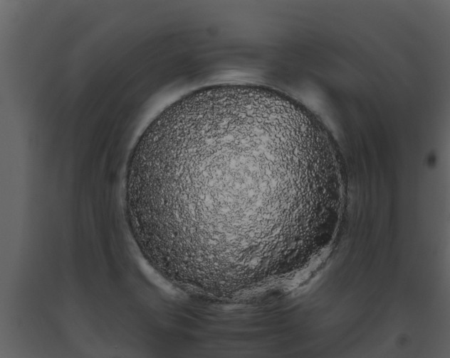 X0000093461421200710191115
