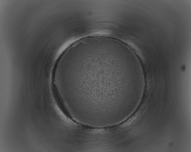 X0000093461422200710191115