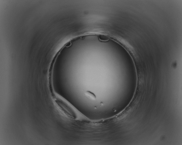 X0000093461423200710191115