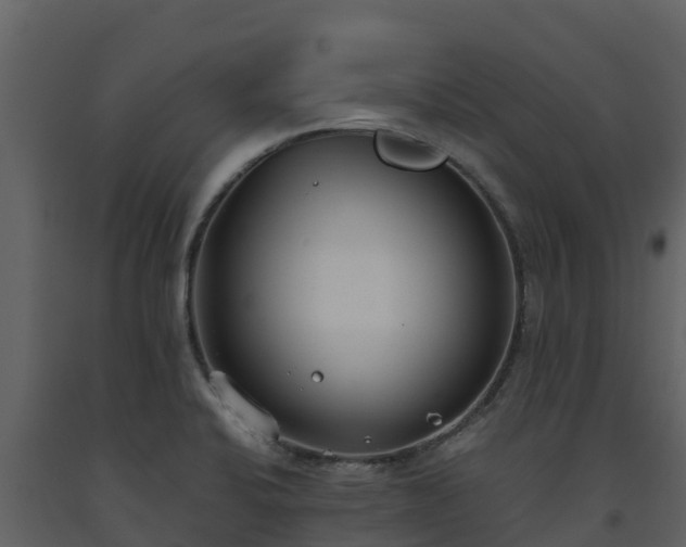 X0000093461424200710191115