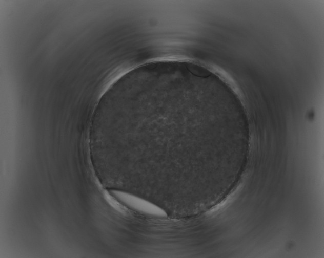 X0000093461425200710191115