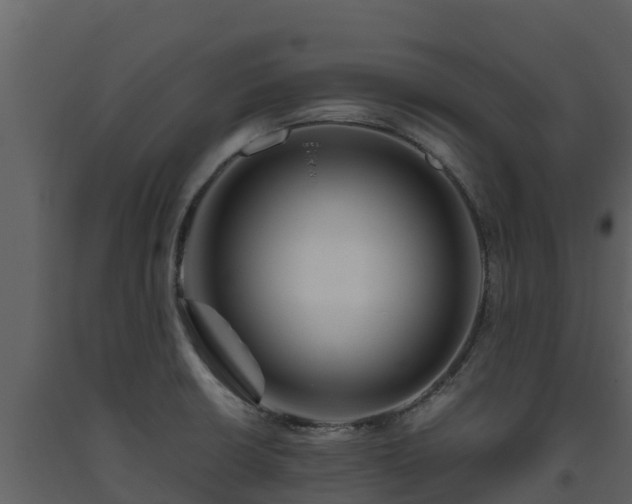 X0000093461426200710191115