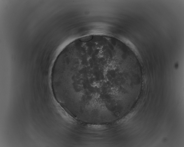 X0000093461427200710191115