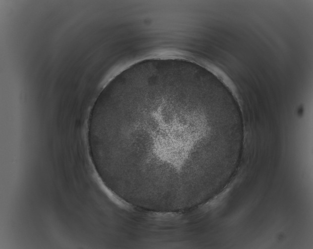 X0000093461429200710191115