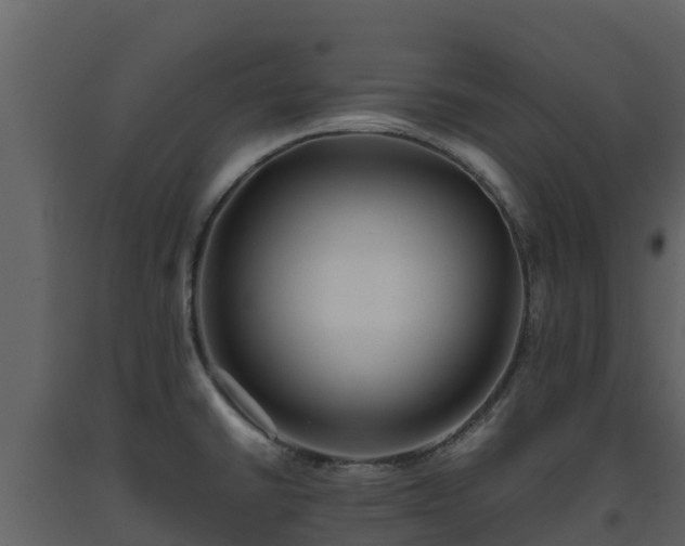 X0000093461430200710191115