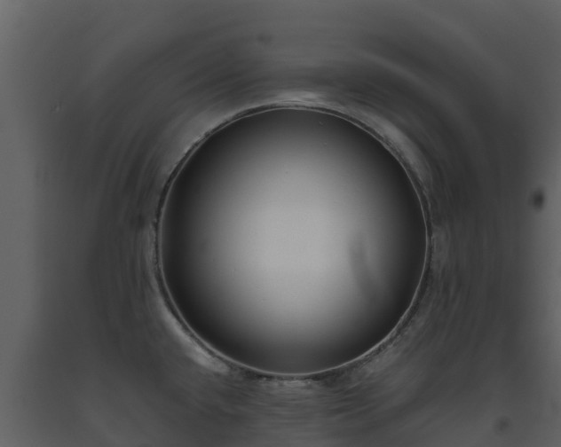 X0000093461432200710191115