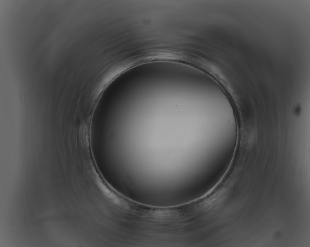 X0000093461433200710191115