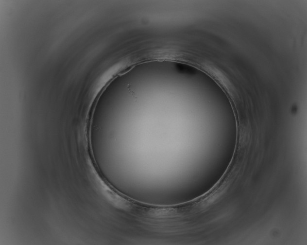 X0000093461434200710191115