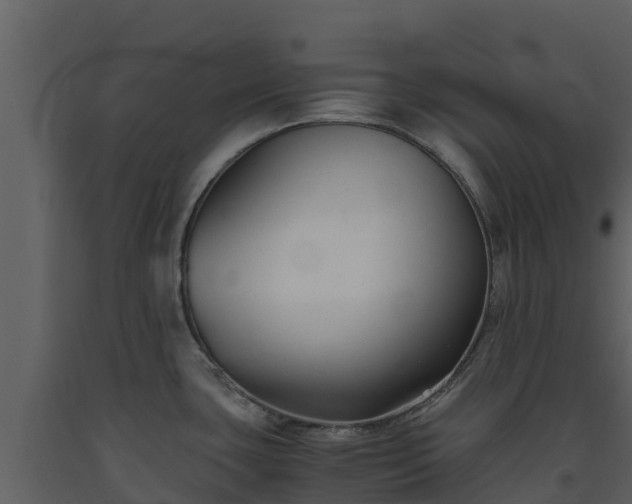 X0000093461435200710191115