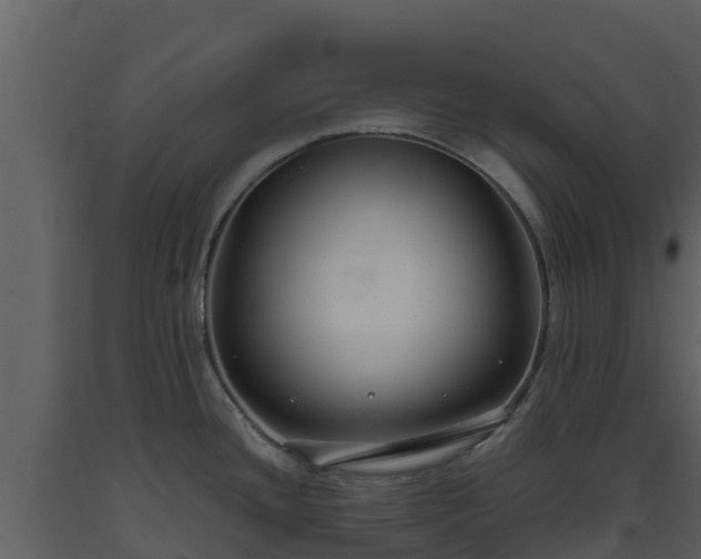 X0000093461436200710191115