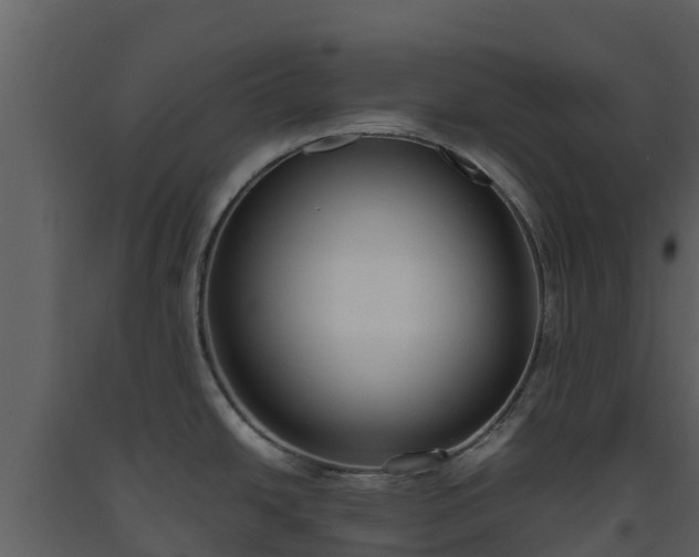 X0000093461438200710191115