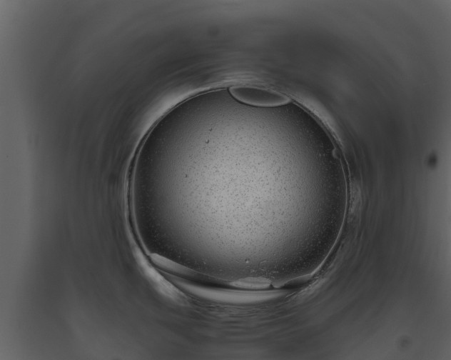 X0000093461439200710191115