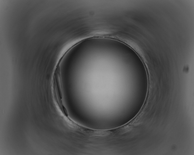 X0000093461440200710191115