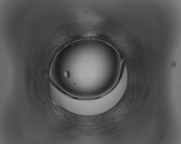 X0000093461441200710191114