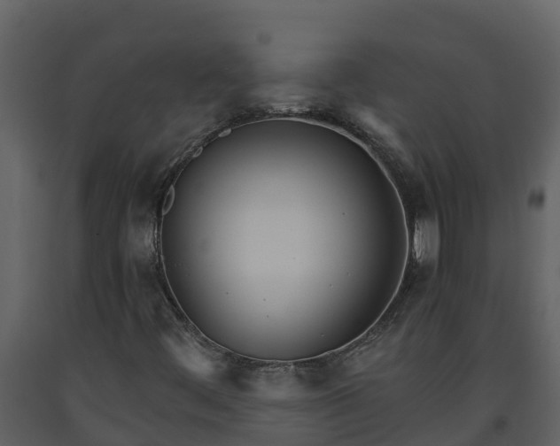 X0000093461444200710191114