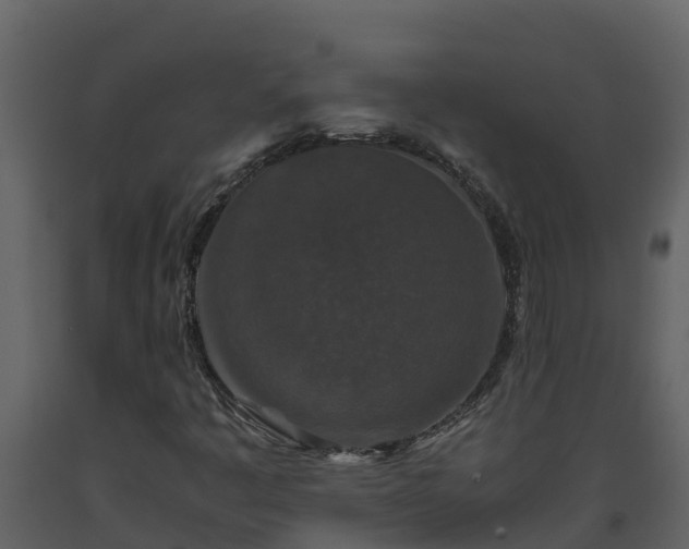 X0000093461445200710191114