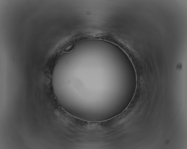 X0000093461447200710191114