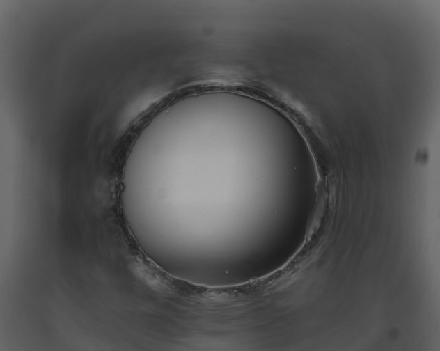 X0000093461448200710191114