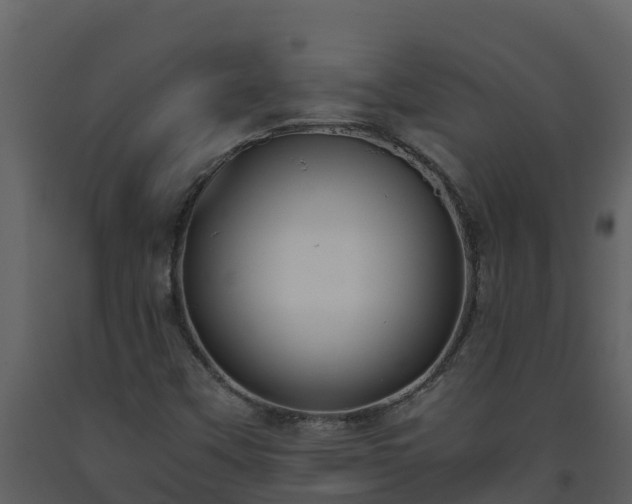 X0000093461451200710191114