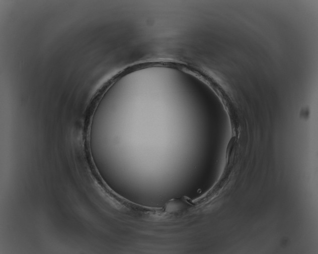 X0000093461452200710191114