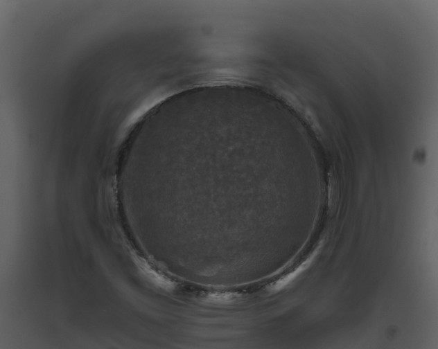 X0000093461453200710191114