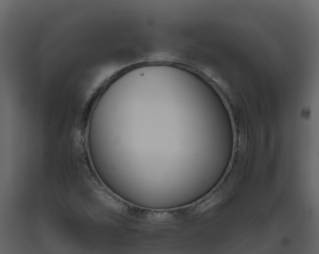 X0000093461454200710191114