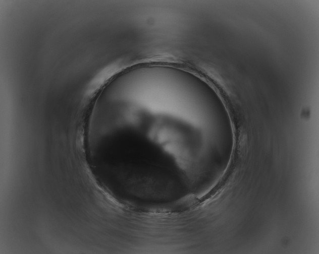 X0000093461455200710191114