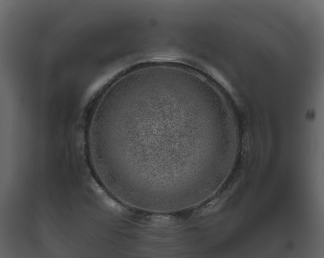 X0000093461456200710191114