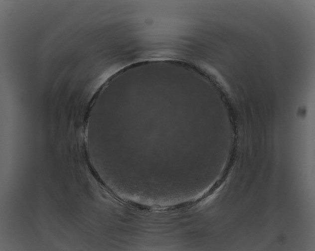 X0000093461457200710191114