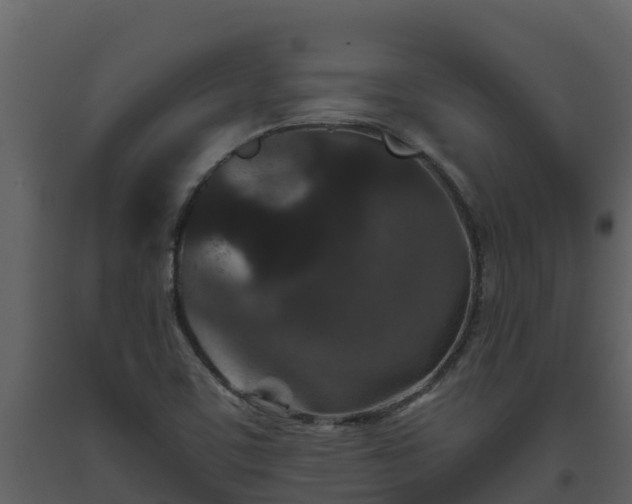 X0000093461459200710191114