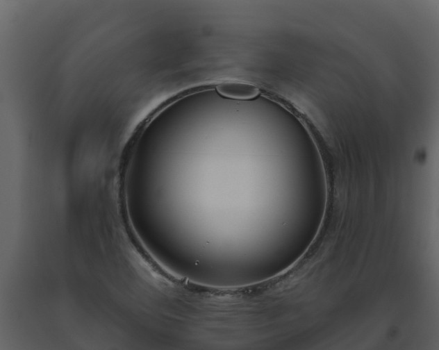 X0000093461460200710191114