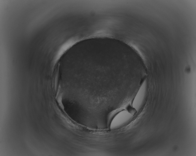 X0000093461461200710191114