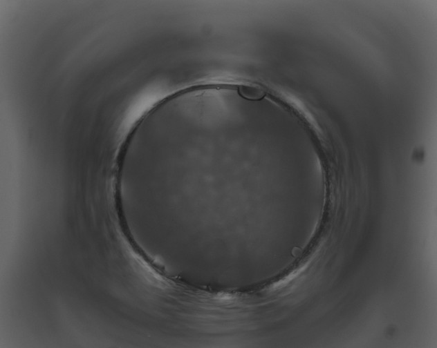 X0000093461463200710191114