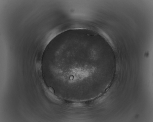 X0000093461465200710191114