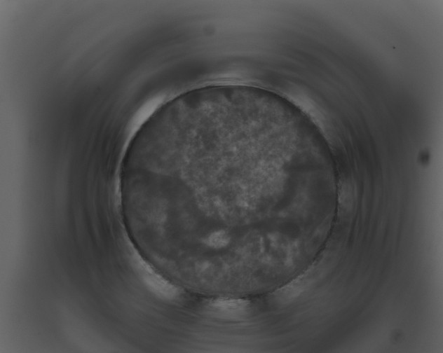 X0000093461466200710191114