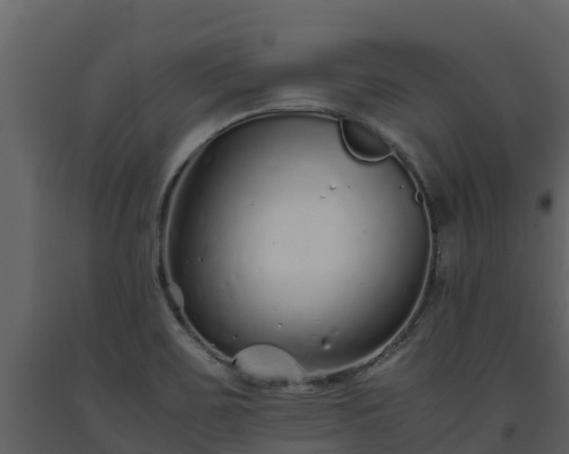 X0000093461467200710191114