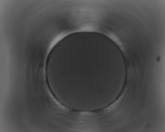 X0000093461469200710191114