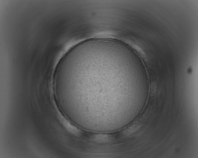 X0000093461470200710191114