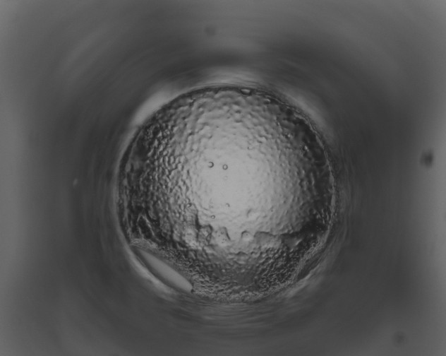 X0000093461471200710191114