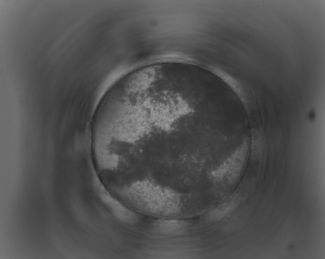 X0000093461474200710191114