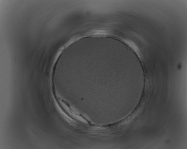 X0000093461475200710191114