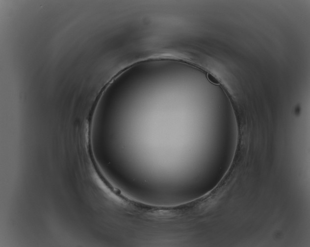 X0000093461476200710191114