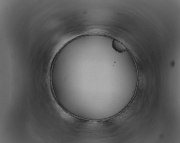 X0000093461478200710191114