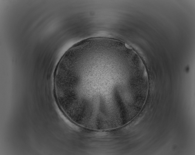 X0000093461479200710191114