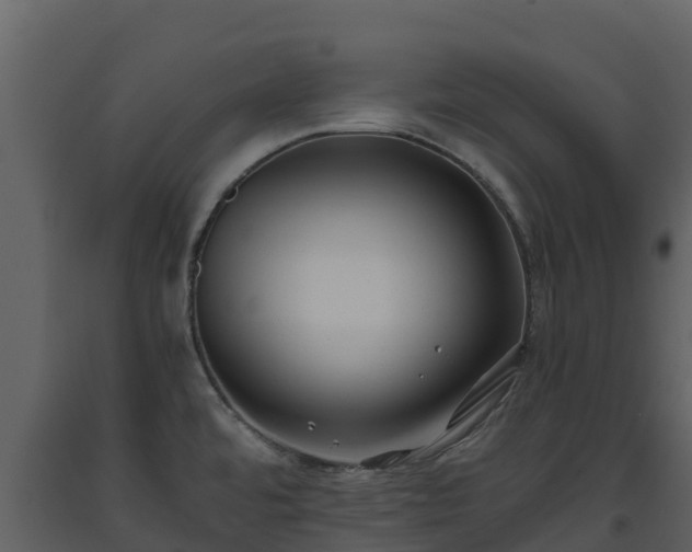 X0000093461480200710191114