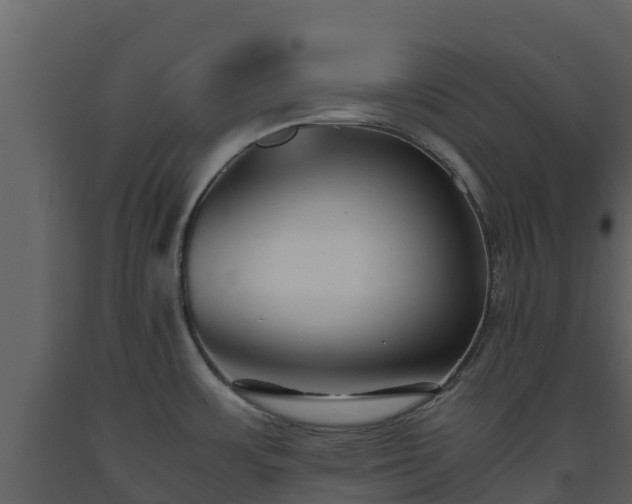 X0000093461483200710191114