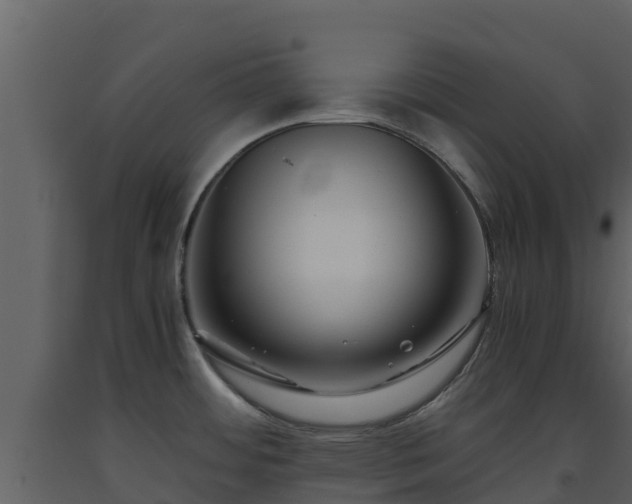 X0000093461484200710191114