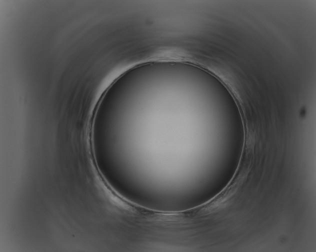 X0000093461486200710191114