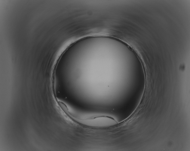 X0000093461488200710191114