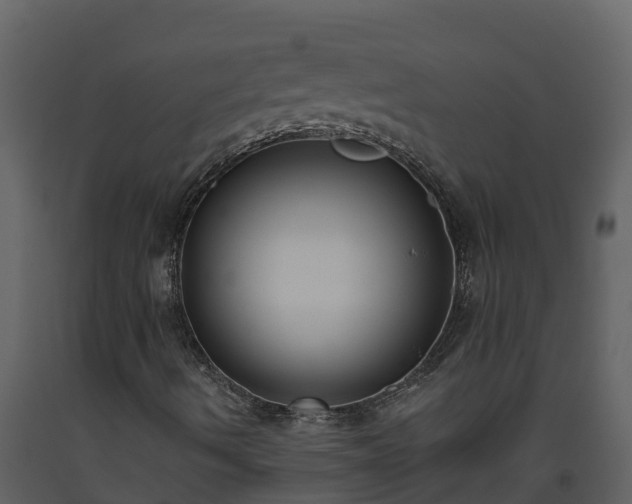 X0000093461490200710191113